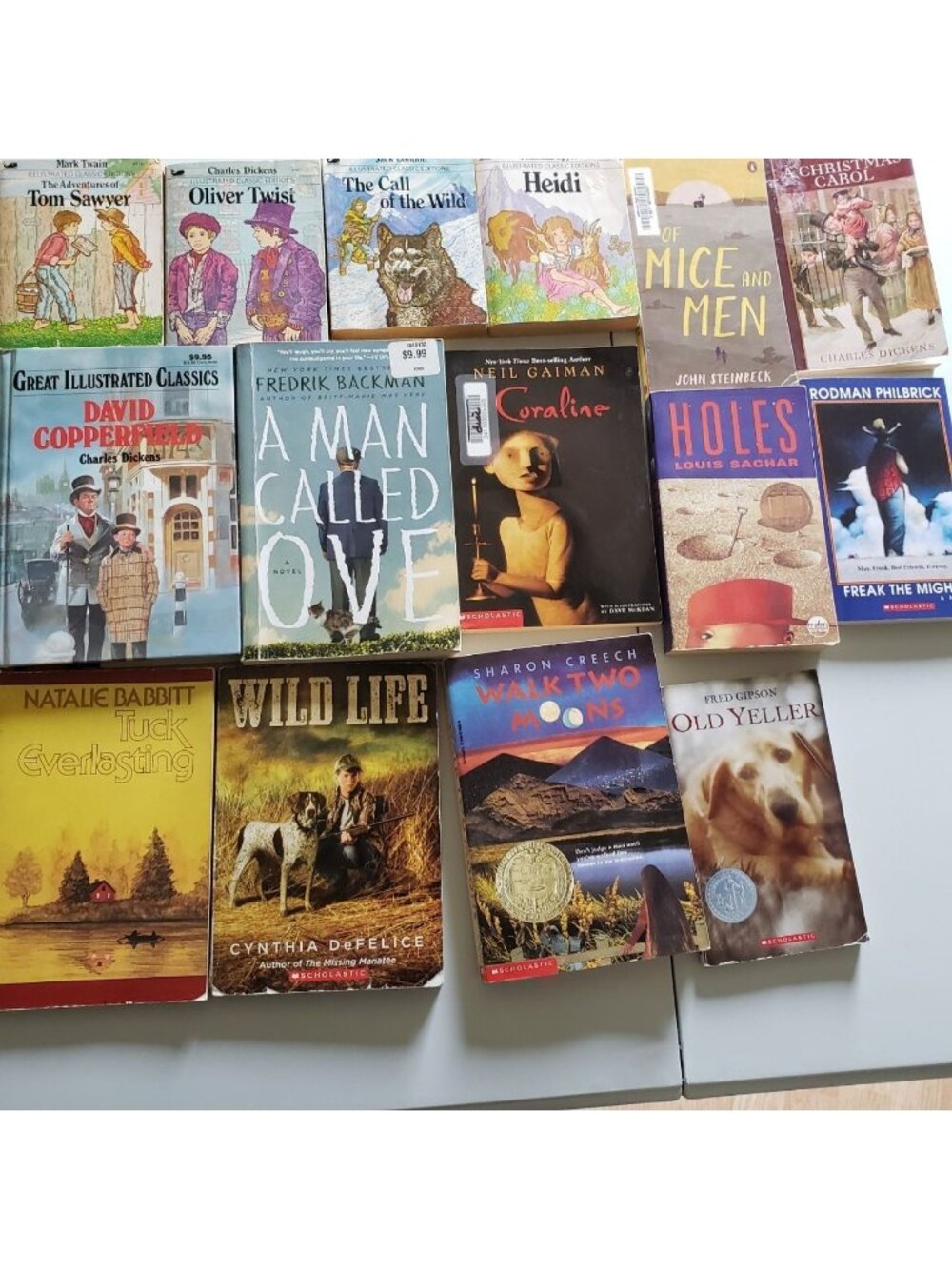 15 Book Family & Homeschool Reading Bundle – Classics, Courage & Character